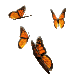 buterflyani.gif (5238 bytes)