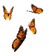 buterflyanileft.gif (5487 bytes)