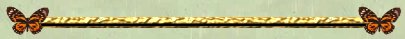 butterflyline.jpg (5469 bytes)